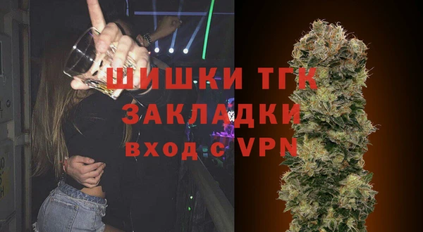 ешки Горняк